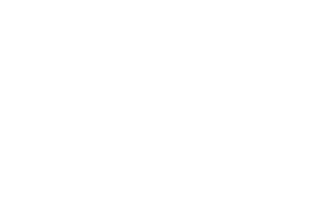 Orion Seafood Logo